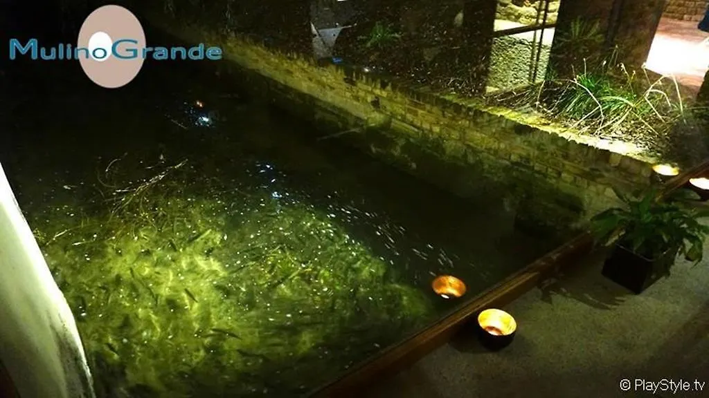 Hotel Mulino Grande Cusago